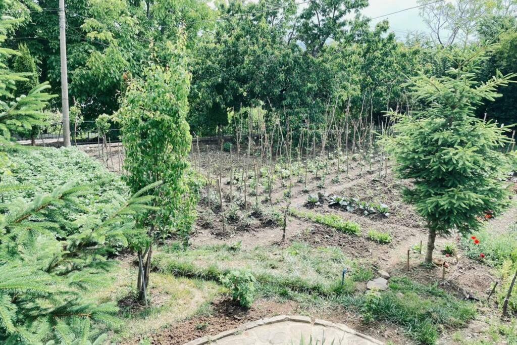 Bujtina Cakuli, Rehove - Erseke Villa ภายนอก รูปภาพ